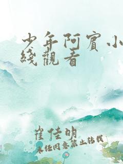 少年阿宾小说在线观看