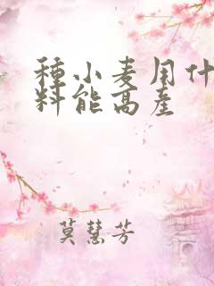 种小麦用什么肥料能高产