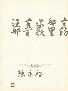 没有你哪有我是哪首歌里的歌词