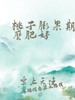 桃子膨果期用什么肥好