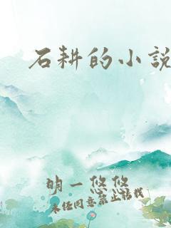 石耕的小说 石耕的小说