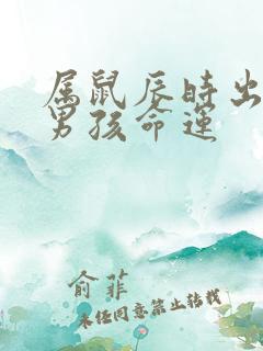 属鼠辰时出生的男孩命运
