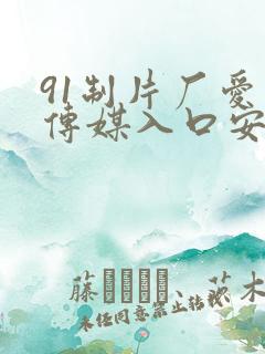 91制片厂爱豆传媒入口安卓版