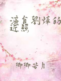 演员刘烨的老婆近照 演员刘烨的老婆近照