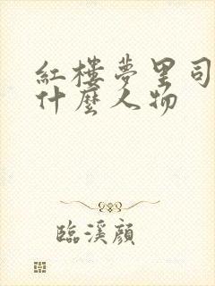红楼梦里司棋是什么人物