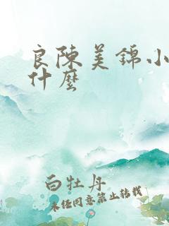 良陈美锦小说讲什么