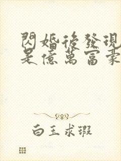 闪婚后发现老公是亿万富豪(小说)
