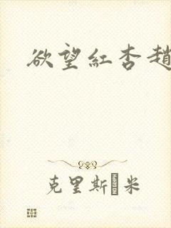 欲望红杏赵总