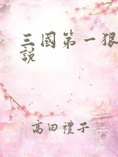 三国第一狠人小说