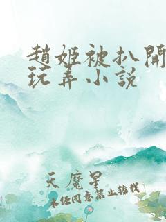 赵姬被扒开双腿玩弄小说