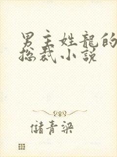 男主姓龙的霸道总裁小说