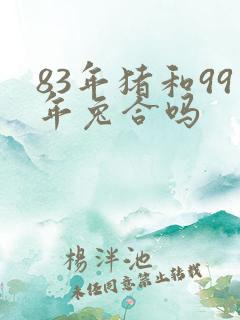 83年猪和99年兔合吗