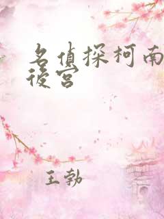 名侦探柯南小说后宫