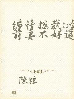 缠情总裁:冷傲前妻不好追