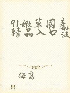 91嫩草国产丨精品入口菠萝