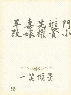 平妻先进门,我改嫁权贵小说