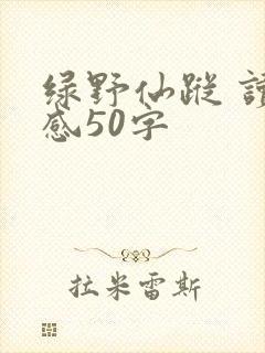 绿野仙踪 读后感50字