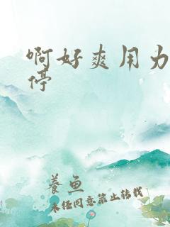 啊好爽用力不要停