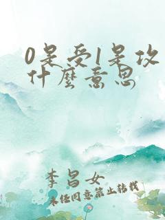 0是受1是攻是什么意思