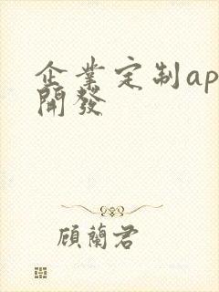 企业定制app开发