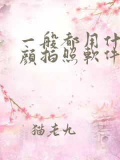一般都用什么美颜拍照软件