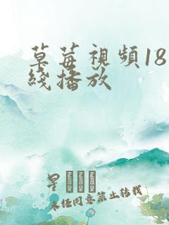 草莓视频18在线播放