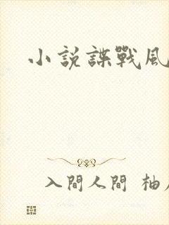 小说谍战风云