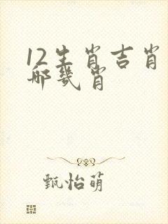 12生肖吉肖是哪几肖