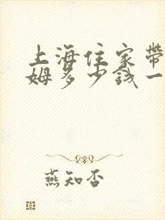 上海住家带娃保姆多少钱一个月