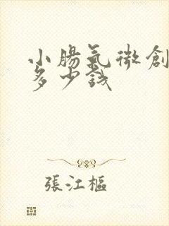 小肠气微创手术多少钱