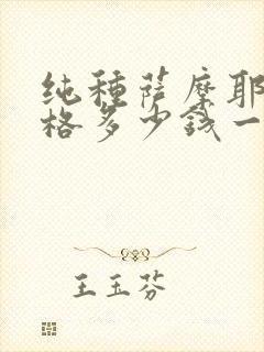 纯种萨摩耶犬价格多少钱一只