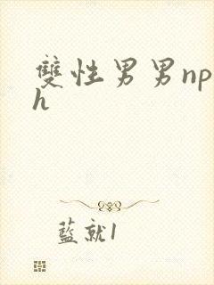 双性男男np高h