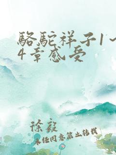 骆驼祥子1～24章感受