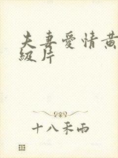 夫妻爱情黄色一级片