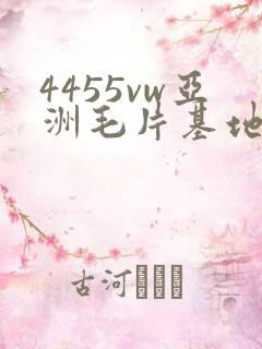 4455vw亚洲毛片基地