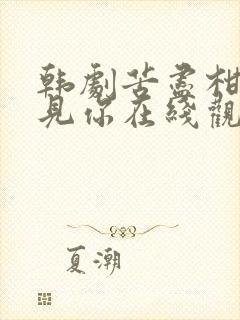 韩剧苦尽柑来遇见你在线观看免费高清