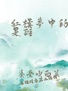 红楼梦中的李纨是谁