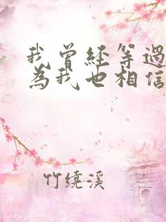 我曾经等过你因为我也相信什么歌
