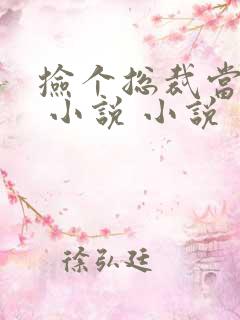捡个总裁当老婆 小说 小说