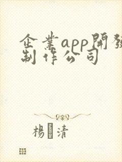 企业app开发制作公司