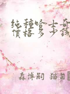 纯种哈士奇幼犬价格多少钱一只