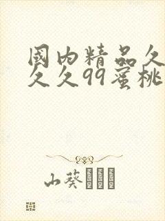 国内精品久久久久久99蜜桃