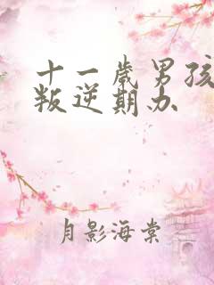 十一岁男孩进入叛逆期办