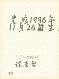 农历1996年11月26日生辰八字