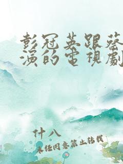 彭冠英跟蔡文静演的电视剧