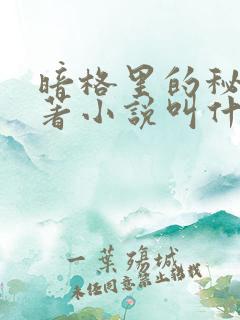 暗格里的秘密原著小说叫什么
