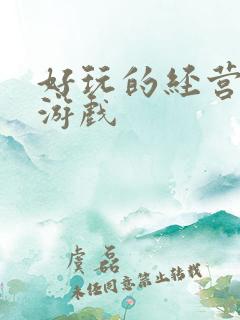 好玩的经营策略游戏