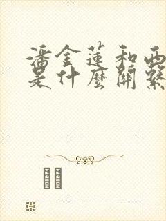 潘金莲和西门庆是什么关系