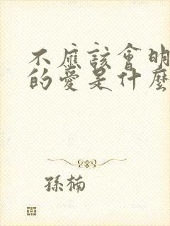 不应该会明白我的爱是什么歌