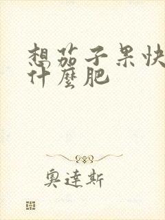 想茄子果快大要什么肥
